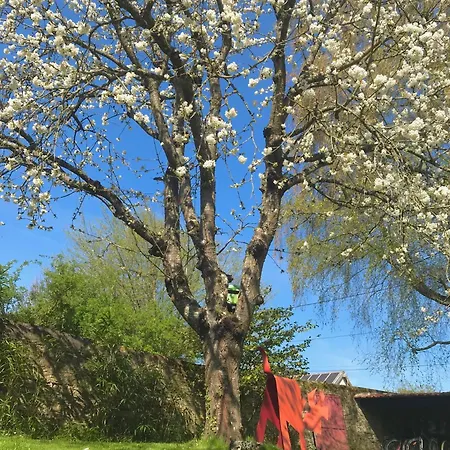 Appartement Les Terrasses De L'artiste Bazenville