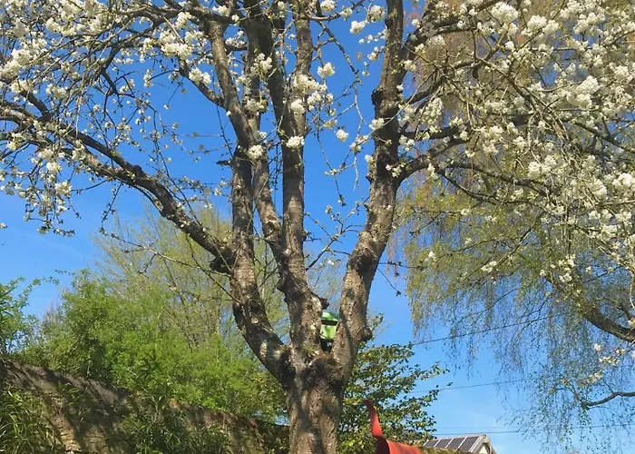 Apartament Les Terrasses De L'artiste Bazenville